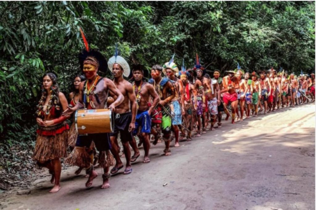 Ocupação indígena no Parque Estadual Cunhambebe quer retomar posse do território