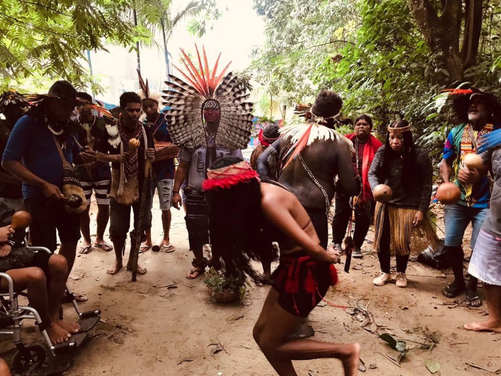 Ocupação pacífica de povos indígenas luta por retomada no Parque Estadual Cunhambebe, Rio de Janeiro