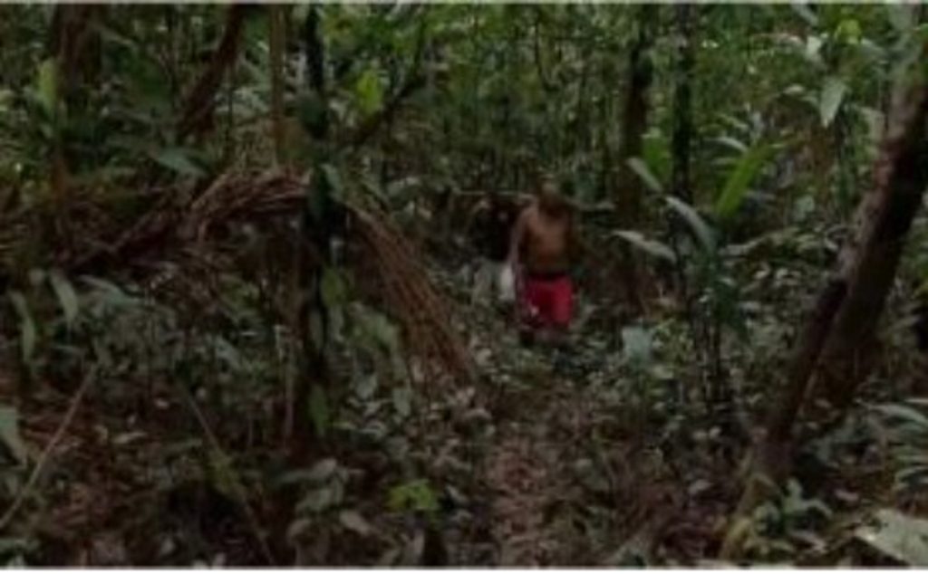 Mais de 100 indígenas de 5 etnias guiam as buscas por Bruno Pereira e Dom Philips