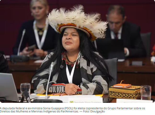 Sonia Guajajara é eleita copresidenta de grupo parlamentar das Américas; deputada é a 1ª indígena brasileira a coordenar rede